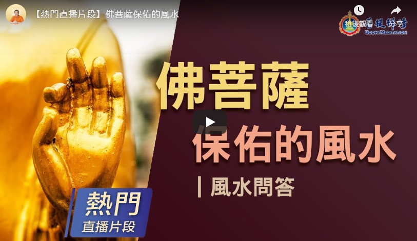「金菩提	」評價風水,金菩提網友問答-如何有好風水